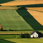 Fields and Farmhouse